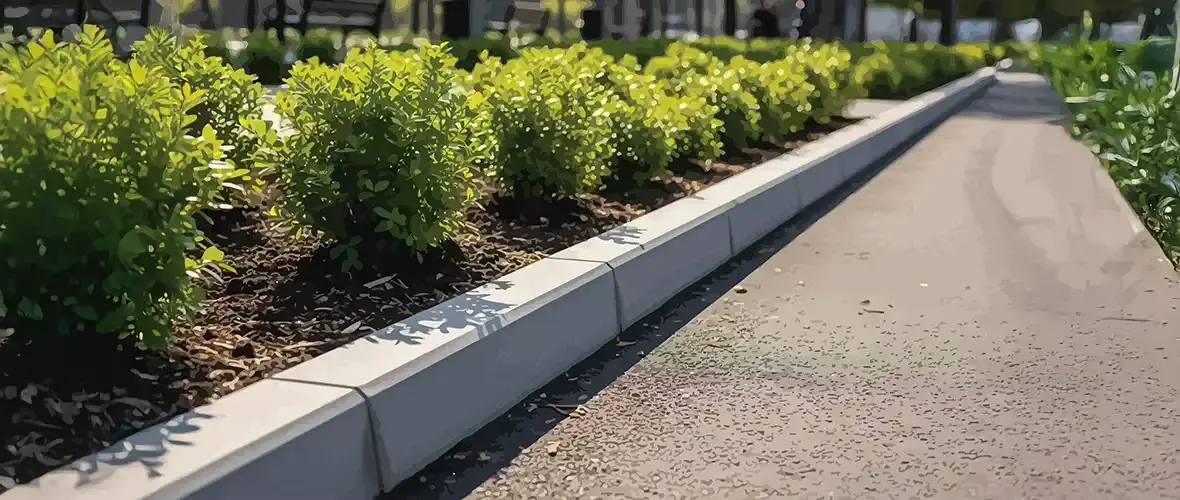 Freshly installed concrete landscape curbing separating a garden bed from a paved walkway