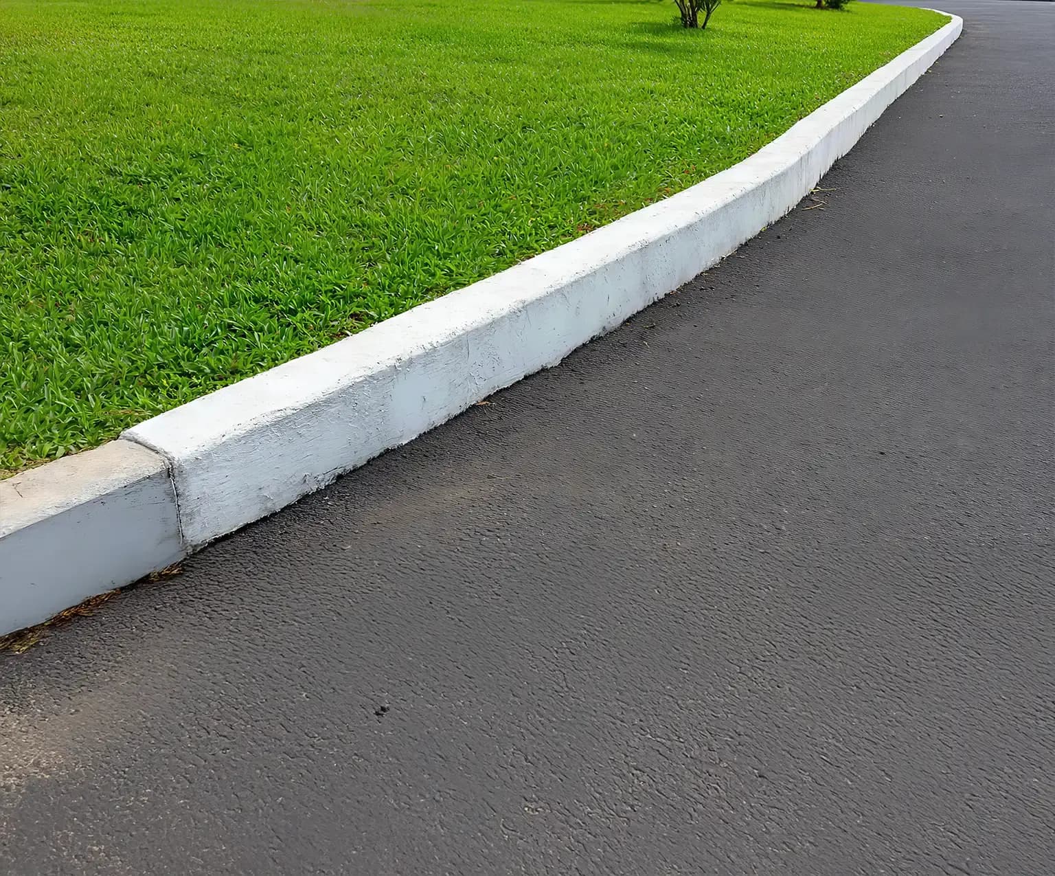 Concrete landscape curb with white painted border separating grass and asphalt in a landscaped park